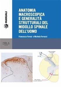 Cover Anatomia macroscopica e generalità strutturali del midollo spinale dell'uomo (eBook, PDF)