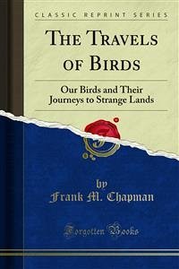 The Travels of Birds (eBook, PDF)