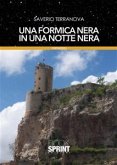 Una formica nera in una notte nera (eBook, ePUB)