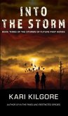 Into the Storm: Book Three of the Storms of Future Past Series (eBook, ePUB)