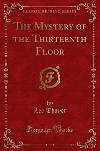 The Mystery of the Thirteenth Floor (eBook, PDF)