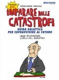Imparare dalle catastrofi (eBook, ePUB)