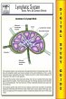 Lymphatic System ( Blokehead Easy Study... - Bild 1
