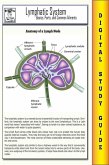 Lymphatic System ( Blokehead Easy Study Guide) (eBook, ePUB)
