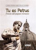 Tu es Petrus - L&quote;inizio del papato romano (eBook, ePUB)