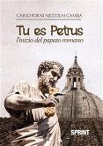 Tu es Petrus - L’inizio del papato romano (eBook, ePUB)