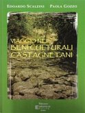 Viaggio nei beni culturali castagnetani (eBook, PDF)