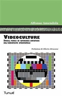 Videoculture. Storia, teoria ed esperienze artistichee dell'audiovisivo sperimentale (eBook, PDF) - Amendola, Alfonso