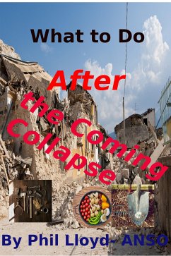 What to Do After the Coming Collapse (eBook, ePUB) - Lloyd, Phil