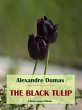 The Black Tulip (eBook, ePUB) - Bild 1