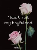 How I met my boyfriend (eBook, ePUB)