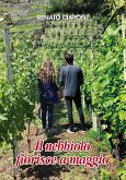 il nebbiolo fiorisce a maggio (eBook, ePUB)