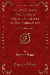 The Wandering Boy, Careless Sailor, and Result of Inconsideration (eBook, PDF)