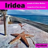 Iridea (eBook, ePUB)