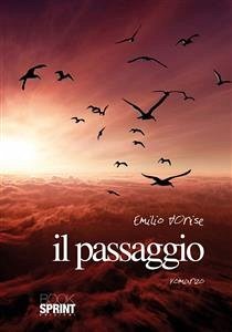 Il passaggio (eBook, ePUB) - D'Onise, Emilio