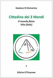 Cittadino dei 3 mondi (eBook, PDF) - Di Domenico, Gaetano