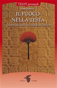 Il fuoco nella testa (eBook, ePUB) - Cowan, Tom