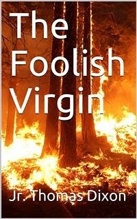 The Foolish Virgin (eBook, PDF) - Dixon, Thomas