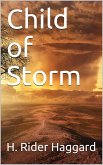 Child of Storm (eBook, PDF)