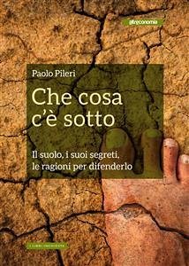 Che cosa c'è sotto (eBook, ePUB) - Pileri, Paolo