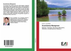 Ecosistema Mangrove