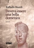 Doveva essere una bella domenica (eBook, ePUB)