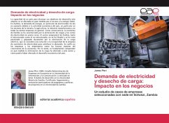 Demanda de electricidad y desecho de carga: Impacto en los negocios - Phiri, James