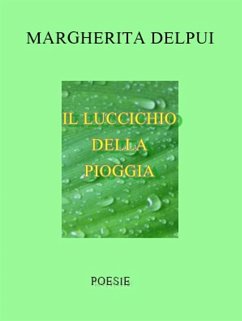Il luccichio della pioggia (eBook, ePUB) - Delpui, Margherita