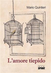 L'amore tiepido (eBook, ePUB) - Quinteri, Mario