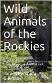 Wild Animals of the Rockies (eBook, PDF)