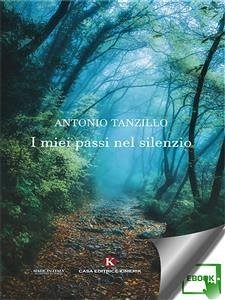 I miei passi nel silenzio (eBook, ePUB) - Tanzillo, Antonio