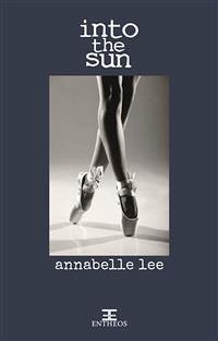 Into the sun (eBook, ePUB) - Lee, Annabelle