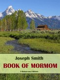 Book of Mormon (eBook, ePUB)