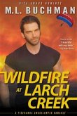 Wildfire at Larch Creek (eBook, ePUB)