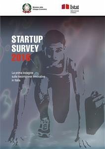 Startup survey 2016 (eBook, PDF) - Istat