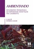 Ambientando (eBook, PDF)