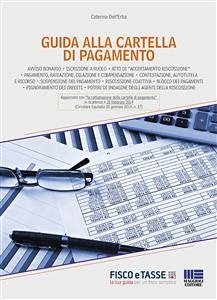 Cover Guida alla cartella di pagamento (eBook, ePUB)