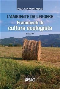 L'ambiente da leggere (eBook, ePUB) - Montanari, Pinuccia