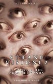 Strane visioni 2 (eBook, ePUB)