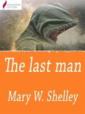 The Last Man (eBook, ePUB)