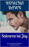 Salvarea lui Jay (eBook, ePUB)