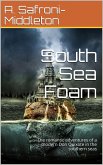 South Sea Foam / The romantic adventures of a modern Don Quixote in the southern seas (eBook, PDF)