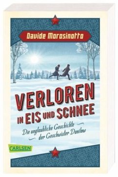 Cover Verloren in Eis und Schnee