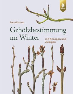 Gehölzbestimmung im Winter - Schulz, Bernd