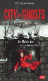 Im Reich der vergessenen Geister / City of Ghosts Bd.2