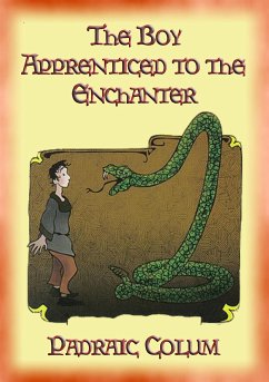 THE BOY APPRENTICED TO AN ENCHANTER - Intrigue, Magical Mystery, Action & Adventure (eBook, ePUB)