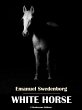 White Horse (eBook, ePUB) - Bild 1