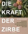 Die Kraft der Zirbe - Bild 1