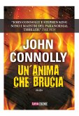 Un'anima che brucia (eBook, ePUB)