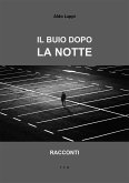 Il buio dopo la notte (eBook, ePUB)